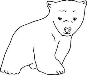 Hand Drawn Doodle Vector Line Art Illustration Walking Cute Little White Polar Bear Cub with Calm Face. Design Element for greeting Card Poster Fabric Pattern for Kids Boys.