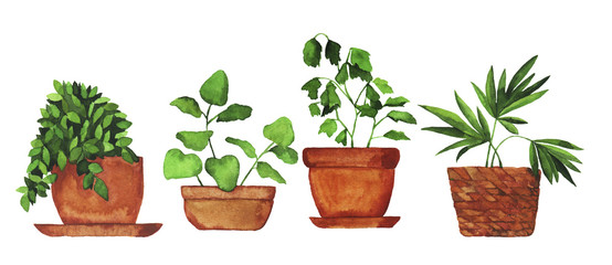 Set of doodle home plants painted by watercolor. Hand drawn illustration.