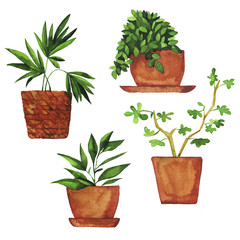 Set of doodle home plants painted by watercolor. Hand drawn illustration.