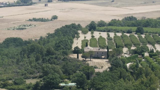 Vineyard in Cucuron, Provence. Still Shot