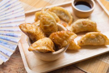 Japanese dumpling called Gyoza