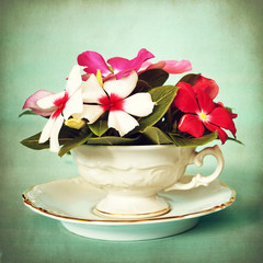 Mothers Day flowers in the cup on grunge background