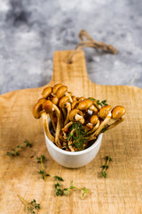 Seasonal mushrooms melange with thyme. Gray background. Isolated. Close up.
