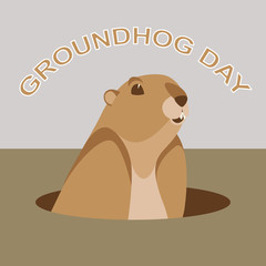groundhog   head vector illustration flat style front