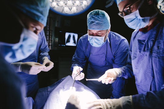 Team of professional surgeons performing surgical procedure