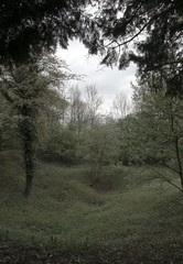 Trou de mine aux Éparges, Meuse; France