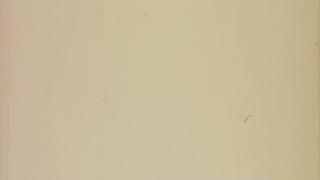 Flicker 007: Writing on scratched film leader (Loop).