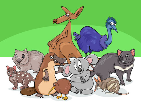 Australian animals group cartoon illustration