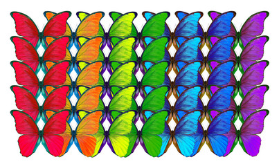 Colors of rainbow. Pattern of multicolored butterflies morpho, texture background.