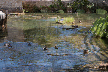 Krk National Park - Croatia - A Day in the beautiful Nature