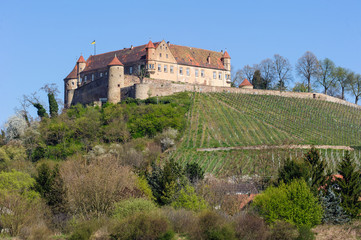 Fototapeta na wymiar Burg Stettenfels in Untergruppenbach