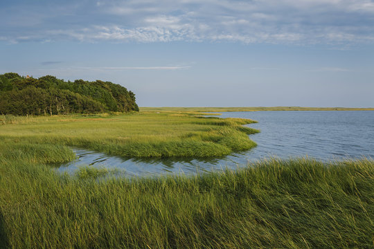 Marsh on Cape Cod Bay
