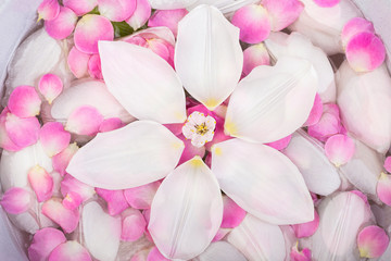 harmony, tenderness, spa concept. there are adorable pieces of different flowers placed in clean water, pink and white petals of blooming flowers cover all the surface of it