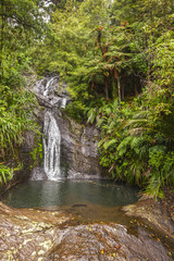 Fototapeta na wymiar Fairy Falls, Waitakere Ranges, New Zealand