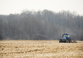 Fototapeta premium Farming