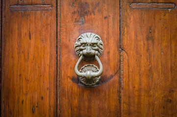 Front view of a vintage lion head shaped door knocker fitted on an solid old wooden door.