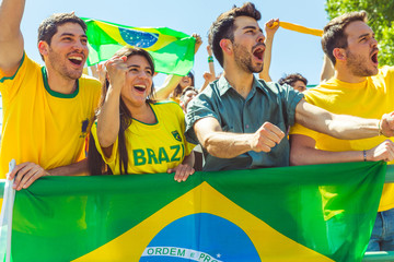 Brazilian supporters celebrating at stadium with flags