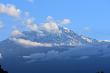 Fototapeta na wymiar Kilimanjaro mountain