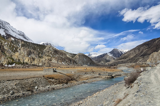 Mountain River with Hanging bridge and spring fields with horses