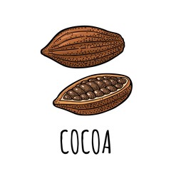 Cocoa