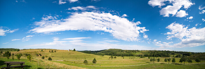 Panorama summer fields