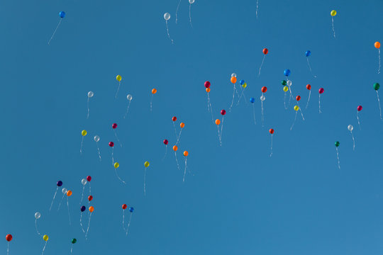 Colorful party balloons floating in the sky