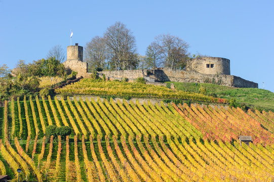 Weibertreu bei Weinsberg