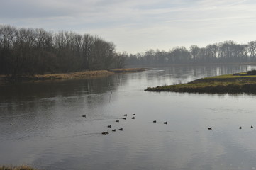 Poland, Nowa Sol: The transshipment port in the autumn and winter landscape on Oder River