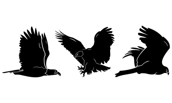 the silhouette of three flying eagles