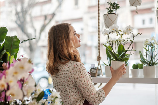 Female Florist Working At The Shop