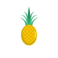 Pineapple icon. Flat illustration of pineapple vector icon isolated on white background