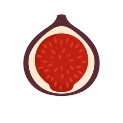Fig icon. Flat illustration of fig vector icon isolated on white background