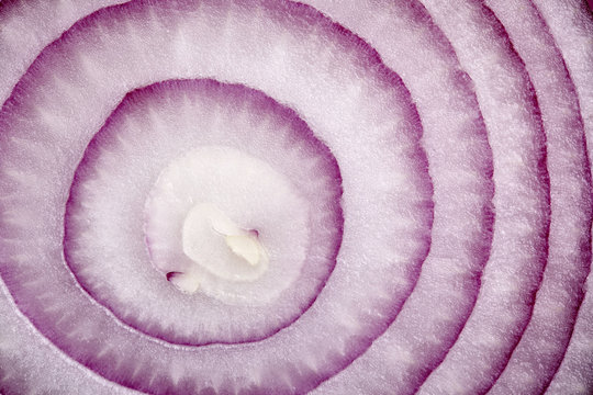Close up view of red onion