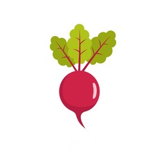 Beet icon. Flat illustration of beet vector icon isolated on white background