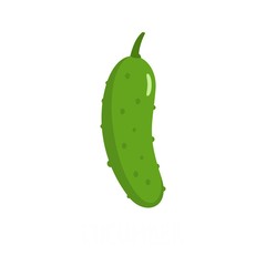 Cucumber icon. Flat illustration of cucumber vector icon isolated on white background
