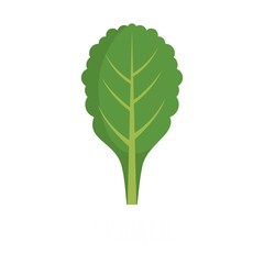 Spinach icon. Flat illustration of spinach vector icon isolated on white background