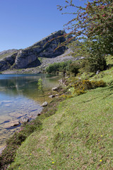 Fototapeta na wymiar Lagos Covadonga