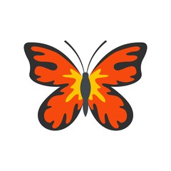 Summer butterfly icon. Flat illustration of summer butterfly vector icon isolated on white background