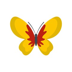 Beautiful butterfly icon. Flat illustration of beautiful butterfly vector icon isolated on white background