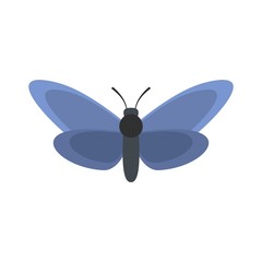 Light butterfly icon. Flat illustration of beautiful butterfly vector icon isolated on white background