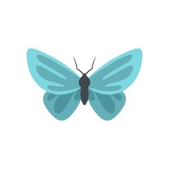 Unusual butterfly icon. Flat illustration of unusual butterfly vector icon isolated on white background