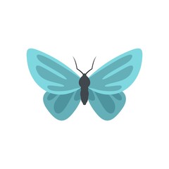 Unusual butterfly icon. Flat illustration of unusual butterfly vector icon isolated on white background