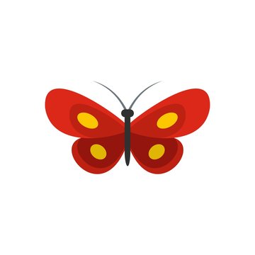 Tiny butterfly icon. Flat illustration of tiny butterfly vector icon isolated on white background