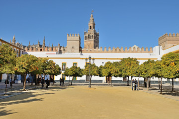 Plaza Patio de Banderas (Sevilla, Spain) - obrazy, fototapety, plakaty