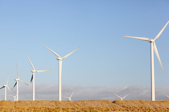 Windmill farm in the dunes of The Netherlands