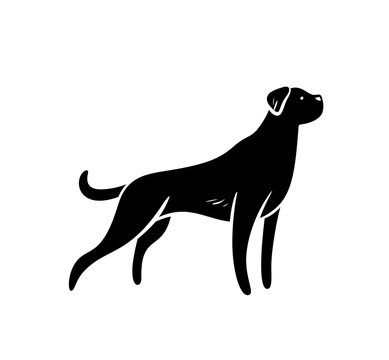 Vector silhuette of staying hunting dog