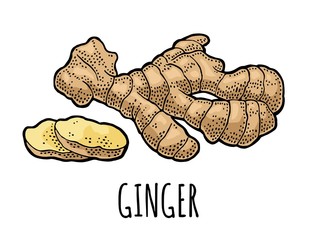 Ginger