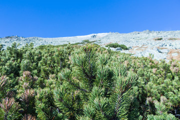 Spiky peaks of the mountain range on a summer day