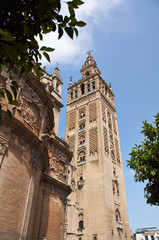 Fototapeta na wymiar Historic buildings and monuments of Seville, Spain. Catedral de Santa Maria de la Sede.