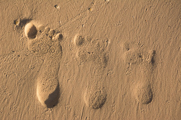 Three footprints of a family: mother, father and child